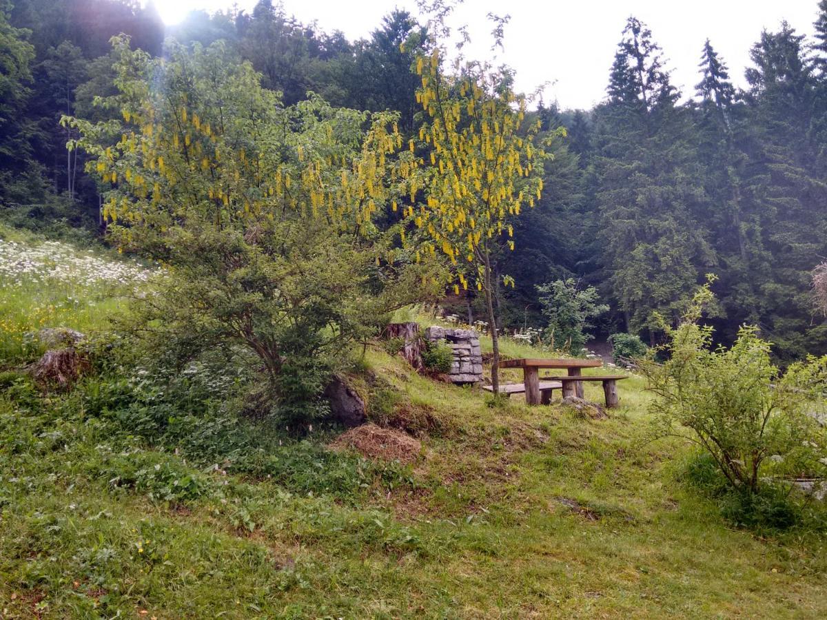 Agritur Manoncin Villa Даоне Екстериор снимка
