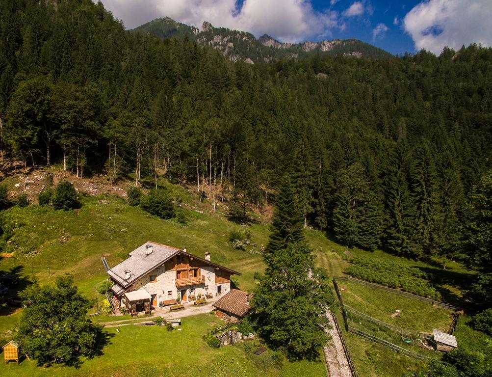 Agritur Manoncin Villa Даоне Екстериор снимка