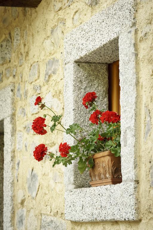 Agritur Manoncin Villa Даоне Екстериор снимка