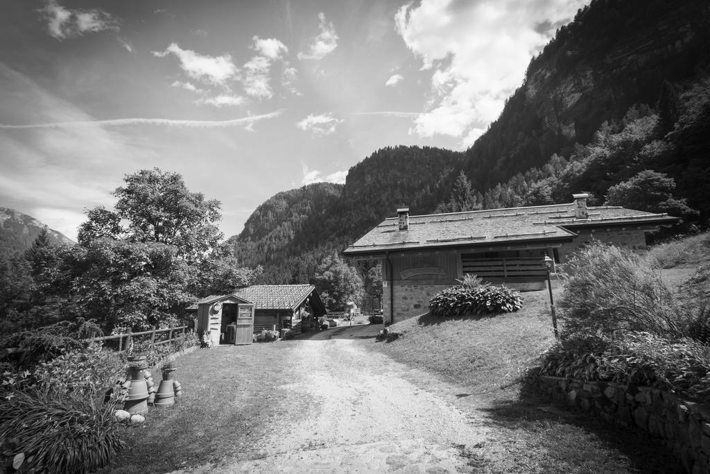 Agritur Manoncin Villa Даоне Екстериор снимка